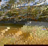 Murrumbidgee Valley National Park - Accommodation Daintree