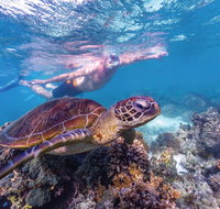 Ningaloo Marine Park - Accommodation Daintree