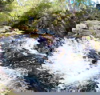 Polblue Falls - Accommodation Daintree