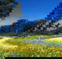 Shearer's Way - Accommodation Daintree