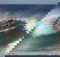 Snapper Rocks - Accommodation Daintree