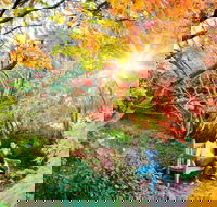 The Blue Mountains Botanic Garden Mount Tomah - Accommodation Daintree