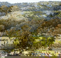 Trawool Valley - Accommodation Daintree