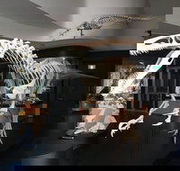 UNE Natural History Museum - Accommodation Daintree