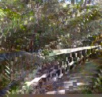 Awaba Bay Foreshore Walk - Accommodation Daintree