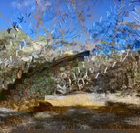Bailey's Rocks - Dergholm State Park - Accommodation Daintree