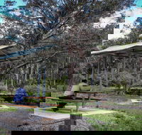 Barrington Tops State Forest - Accommodation Daintree
