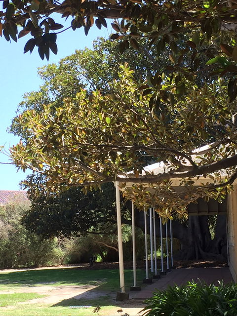 Black Rock House - Accommodation Daintree 1