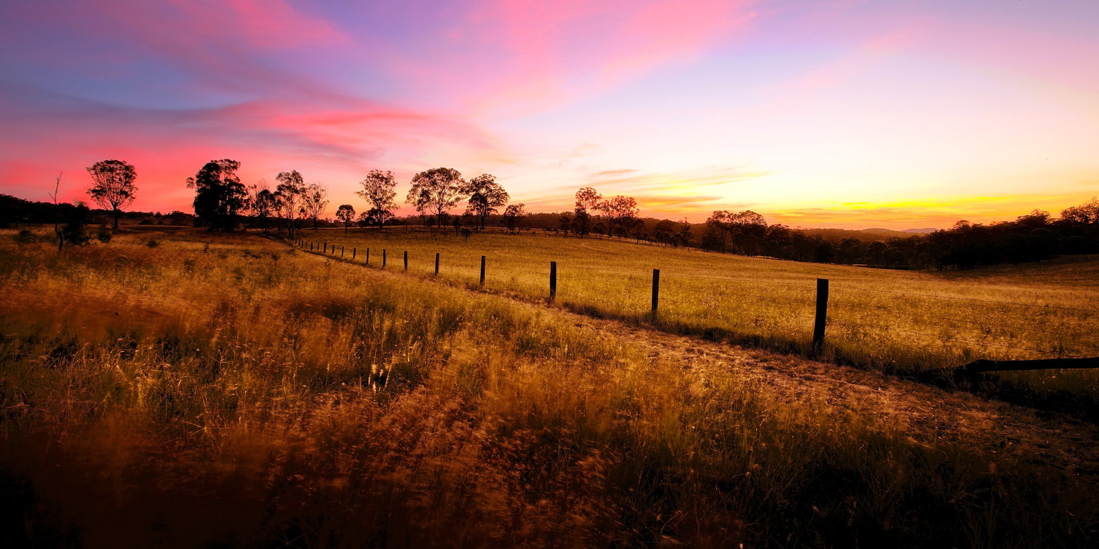 Cabarlah QLD Accommodation Daintree