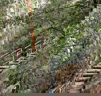 Caleys Lookout Track - Accommodation Daintree