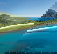 Cape Tribulation Daintree National Park - Accommodation Daintree