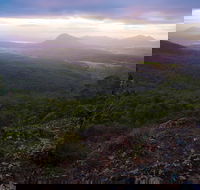 Cunninghams Gap and Spicers Gap Main Range National Park - Accommodation Daintree