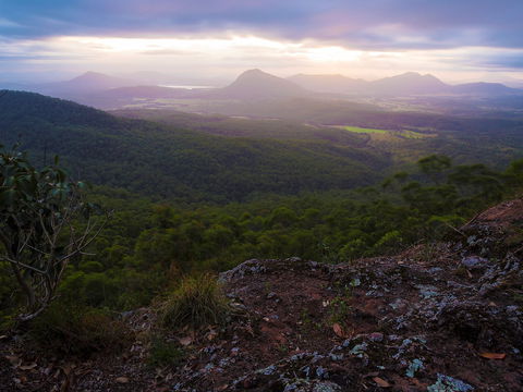 Cunninghams Gap And Spicers Gap, Main Range National Park - Accommodation Daintree 0