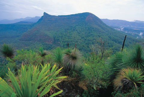 Cunninghams Gap And Spicers Gap, Main Range National Park - Accommodation Daintree 1