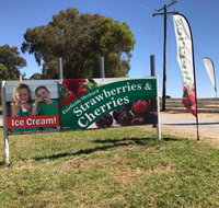 Fairfield Orchard