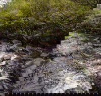 Gloucester River walking track - Accommodation Daintree