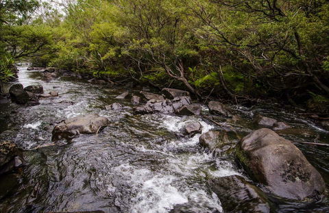 Gloucester River Walking Track - Accommodation Daintree 0