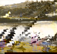 Lake Alford Recreational Park - Accommodation Daintree