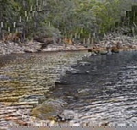 Lake Rowallan - Accommodation Daintree