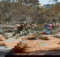 Mallee Stop walking track - Accommodation Daintree