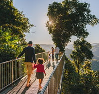 Mamu Tropical Skywalk - Accommodation Daintree