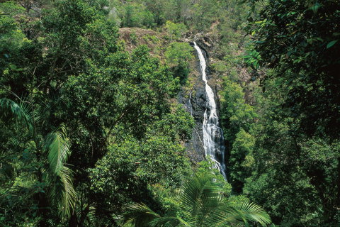 Mapleton Falls National Park - Accommodation Daintree 0