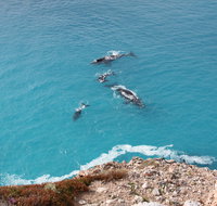 Nullarbor National Park