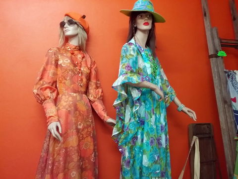 Orange Daze - Accommodation Daintree 0