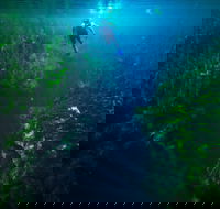 Piccaninnie Ponds Conservation Park - Accommodation Daintree