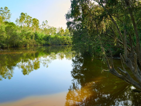 Shapcott Park - Accommodation Daintree 1