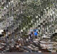 Six Mile Creek Bluff Lookout and Little White Rock Trails - Accommodation Daintree