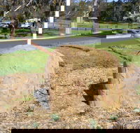 Stratford Historical Society and Museum - Accommodation Daintree