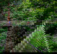 Thunderbird Park  - Tamborine Mountain Gold Coast Region - Accommodation Daintree