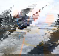 Tiddy Widdy Beach - Accommodation Daintree