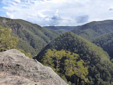 Vale Of Avoca - Accommodation Daintree 0