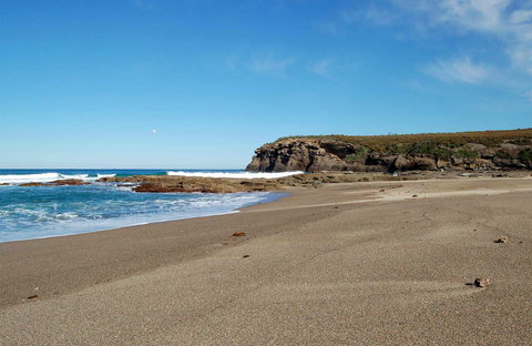 Wallarah National Park - Accommodation Daintree 0