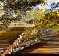 Windmill Walk - Accommodation Daintree