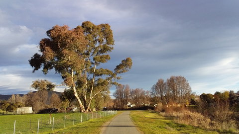 Adelong Falls Walk - Accommodation Daintree 0