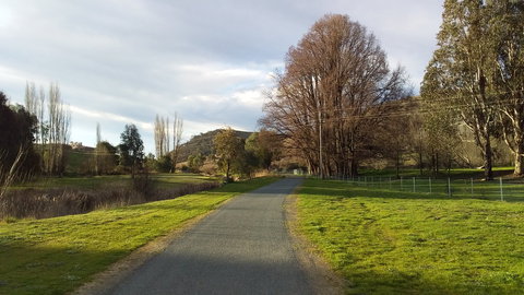 Adelong Falls Walk - Accommodation Daintree 2