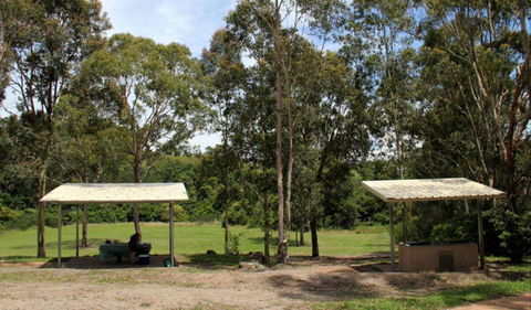 Back Creek Picnic Area - Accommodation Daintree 0