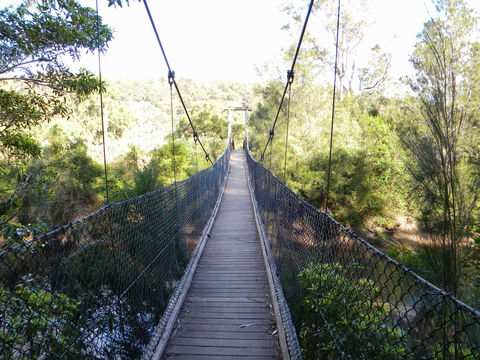 Bens Walk - Accommodation Daintree 1