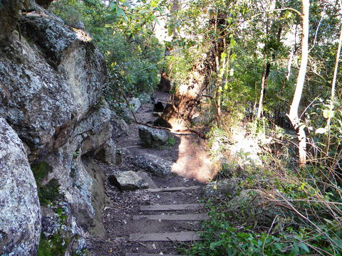 Bens Walk - Accommodation Daintree 2