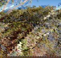 Boonoo Boonoo Falls picnic area - Accommodation Daintree