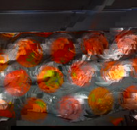 Bottle House and Mining Museum - Accommodation Daintree