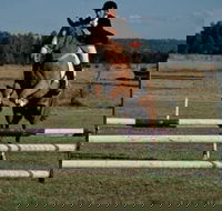 Camden Bicentennial Equestrian Park - Accommodation Daintree