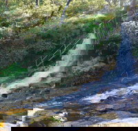 Charles Darwin walk - Accommodation Daintree