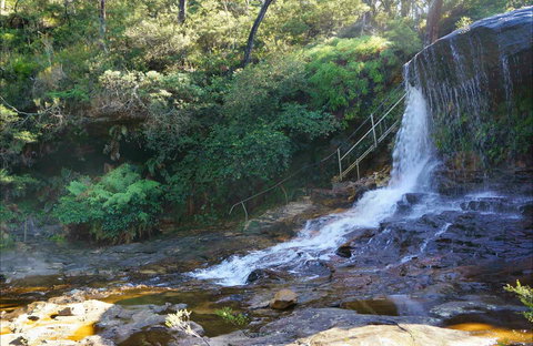 Charles Darwin Walk - Accommodation Daintree 0