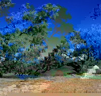 Comet - Accommodation Daintree