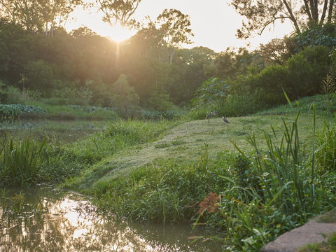 Cribb Park - Accommodation Daintree 2