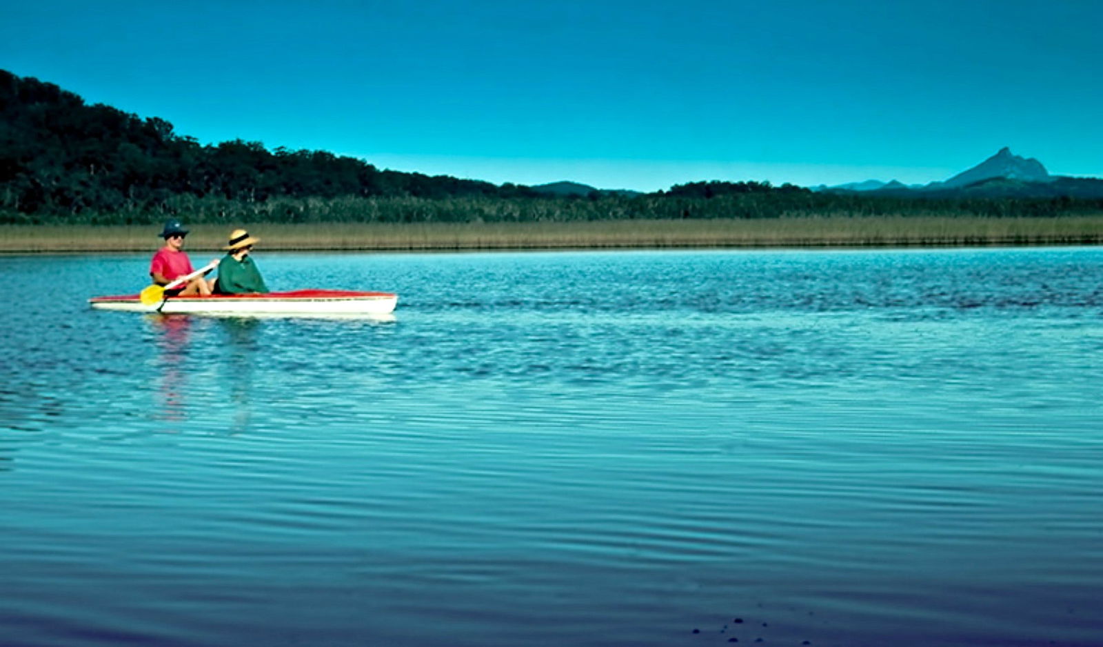 Northern Rivers And Tropical Nsw NSW Accommodation Daintree